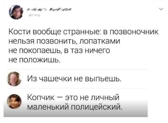 Кости вообще странные: в позвоночник нельзя позвонить, лопатками не покопаешь, в таз ничего не положишь.
Из чашечки не выпьешь.
Копчик — это не личный маленький полицейский.