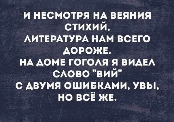 И несмотря на веяния стихий, литература нам всего дороже. На доме Гоголя я видел слово 