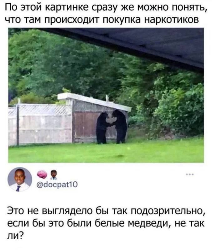 По этой картинке сразу же можно понять, что там происходит покупка наркотиков.

Это не выглядело бы так подозрительно, если бы это были белые медведи, не так ли? 