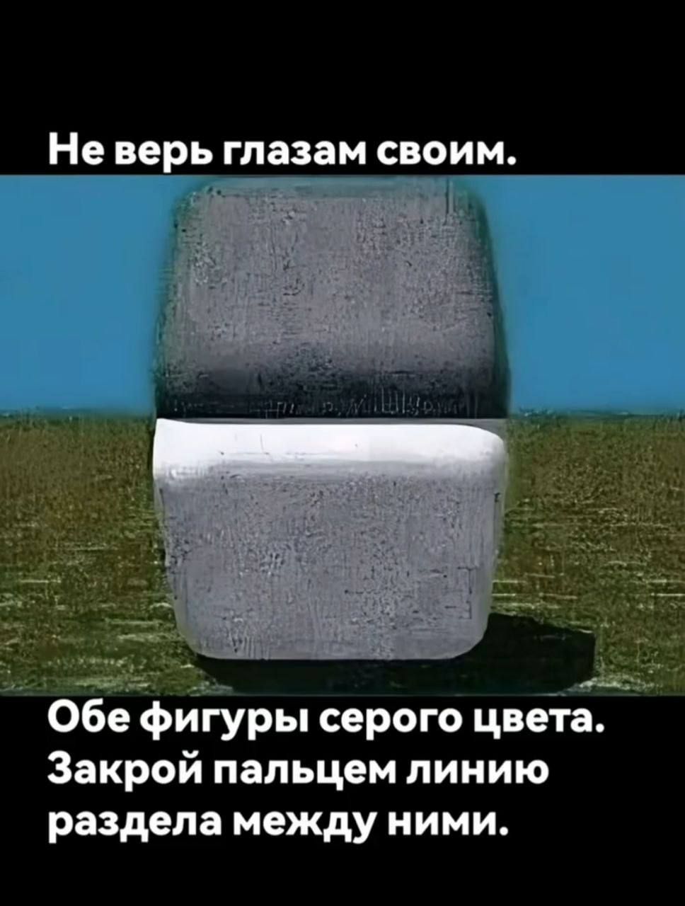Не верь глазам своим.
Обe фигуры серого цвета. Закрой пальцем линию раздела между ними.