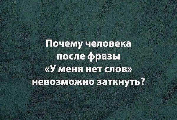 Почему человека после фразы «У меня нет слов» невозможно заткнуть?
