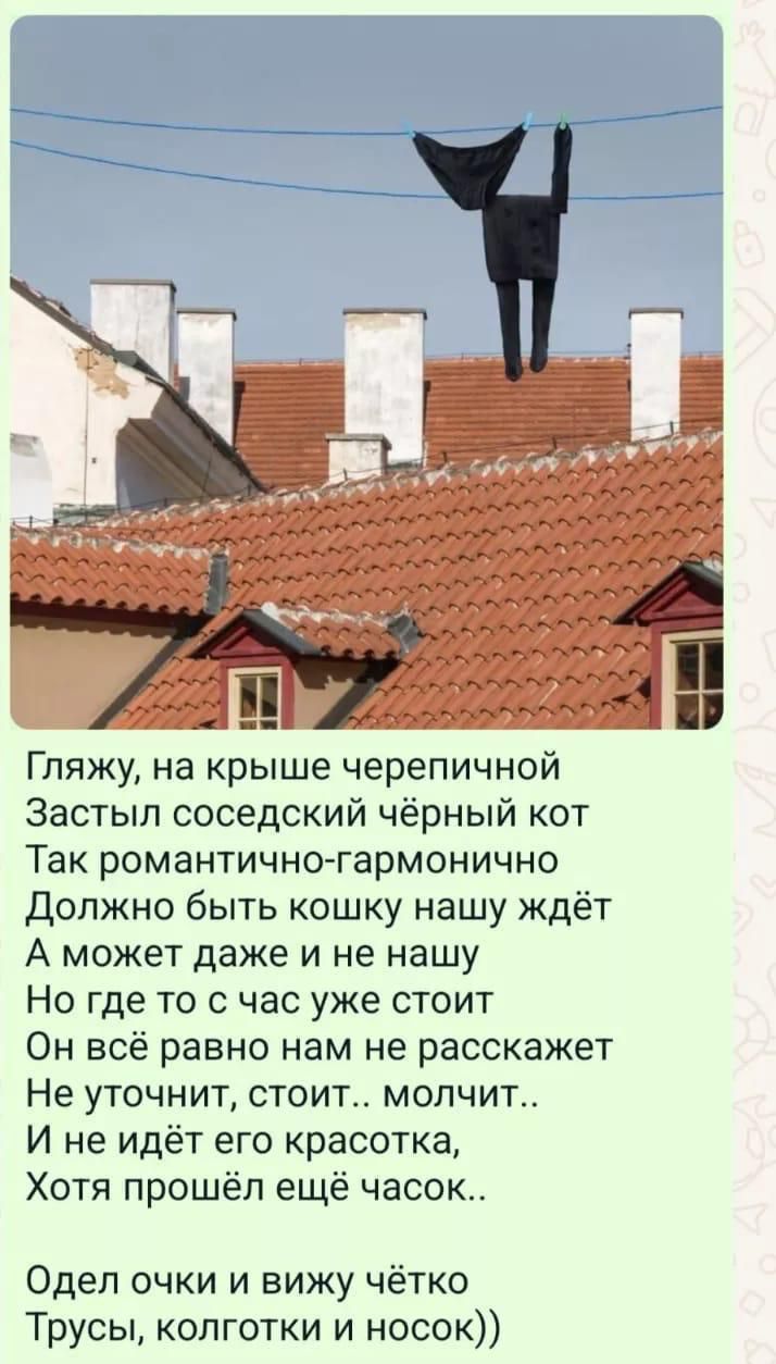 Гляжу, на крыше черепичной
Застыл соседский чёрный кот
Так романтично-гармонично
Должно быть кошку нашу ждёт
А может даже и не нашу
Но где то с час уже стоит
Он всё равно нам не расскажет
Не уточнит, стоит.. молчит..
И не идёт его красота,
Хотя прошёл ещё часок..

Одев очки и вижу чётко
Трусы, колготки и носок))