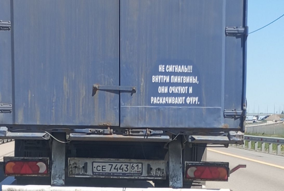 НЕ СИГНАЛЬ!!! ВНУТРИ ПИНГВИНЫ, ОНИ ОХУТ И РАСКАЧИВАЮТ ФРИГ.