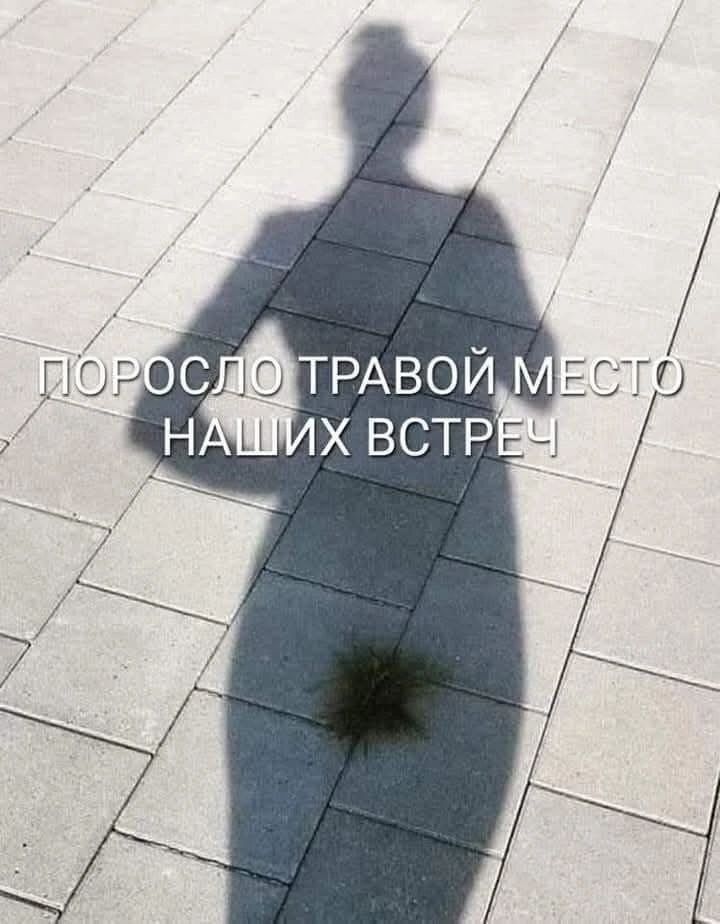 ПОРОСЛО ТРАВОЙ МЕСТО НАШИХ ВСТРЕЧ