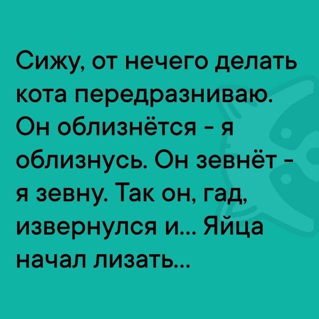 Сижу, от нечего делать кота передразниваю. Он оближется - я оближусь. Он зевнёт - я зевну. Так он, гад, извёрнулся и... Яйца началлизать...