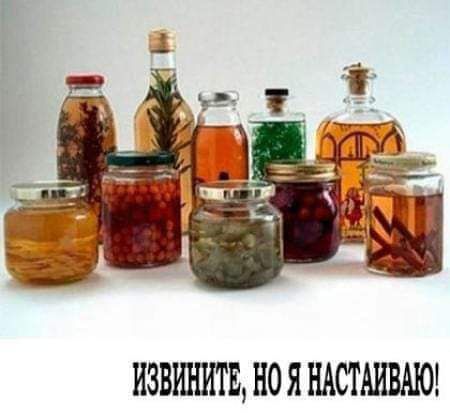 ИЗВИНИТЕ, НО Я НАСТАИВАЮ!