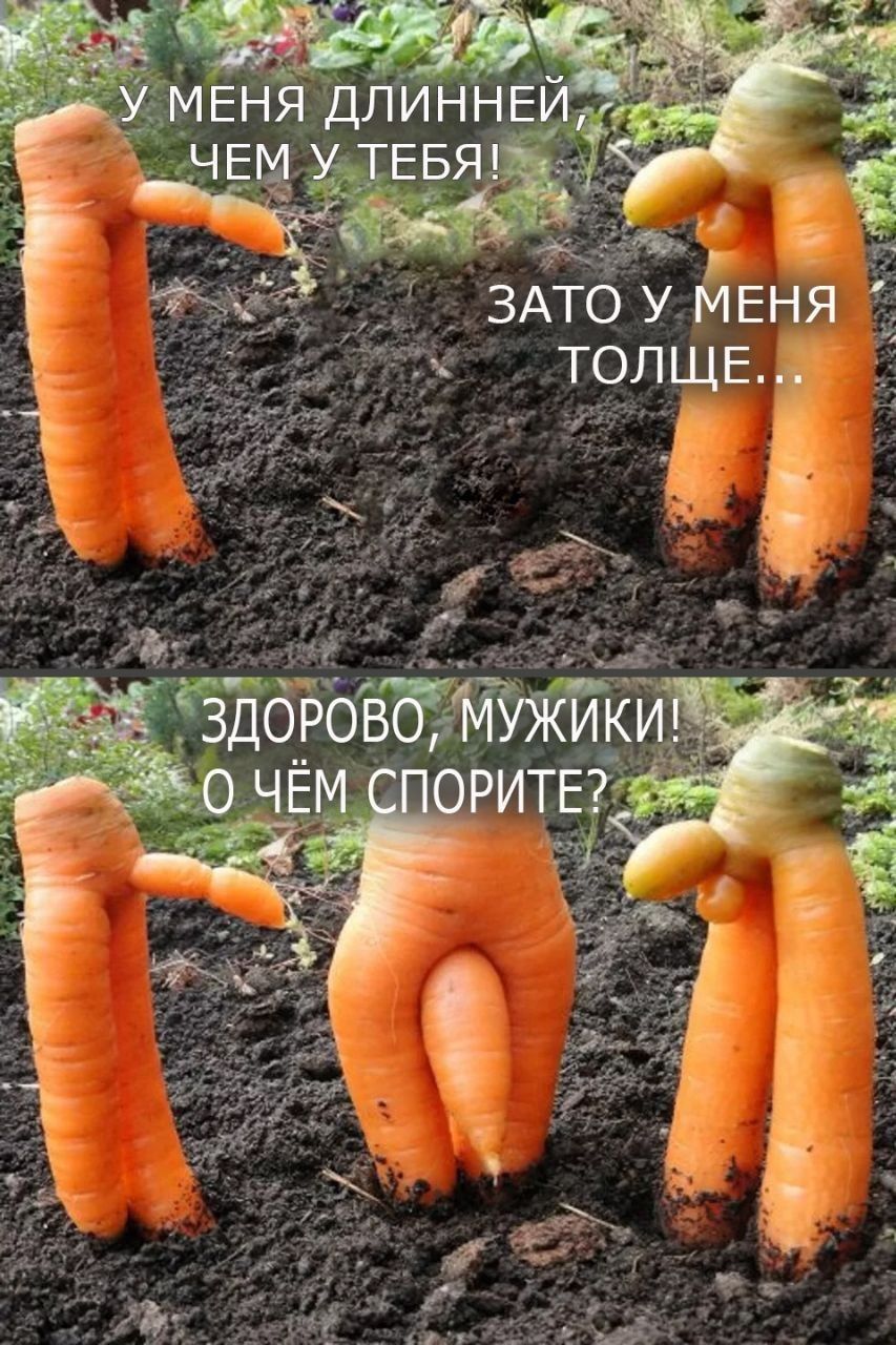У МЕНЯ ДЛИННЕЙ, ЧЕМ У ТЕБЯ! ЗАТО У МЕНЯ ТОЛЩЕ... ЗДОРОВО, МУЖИЧКИ! О ЧЁМ СПОРИТЕ?