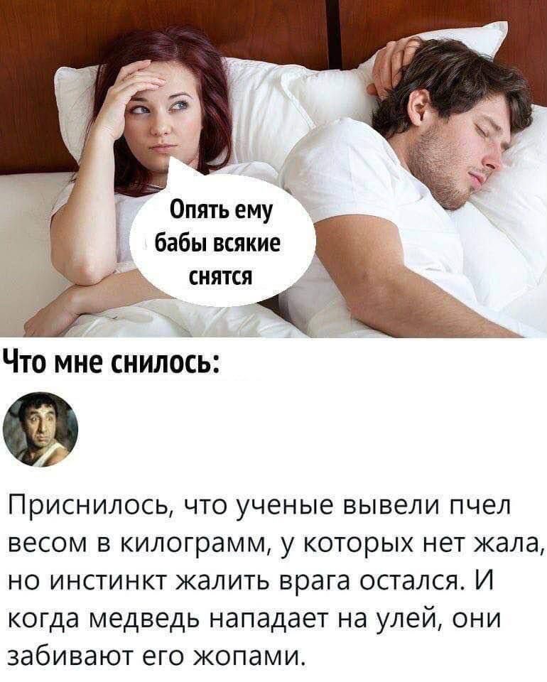Опять ему баби всякие сняться
Что мне снилось:
Приснилось, что ученые вывели пчел весом в килограмм, у которых нет жала, но инстинкт жалить врага остался. И когда медведь нападает на улей, они забивают его жопами.