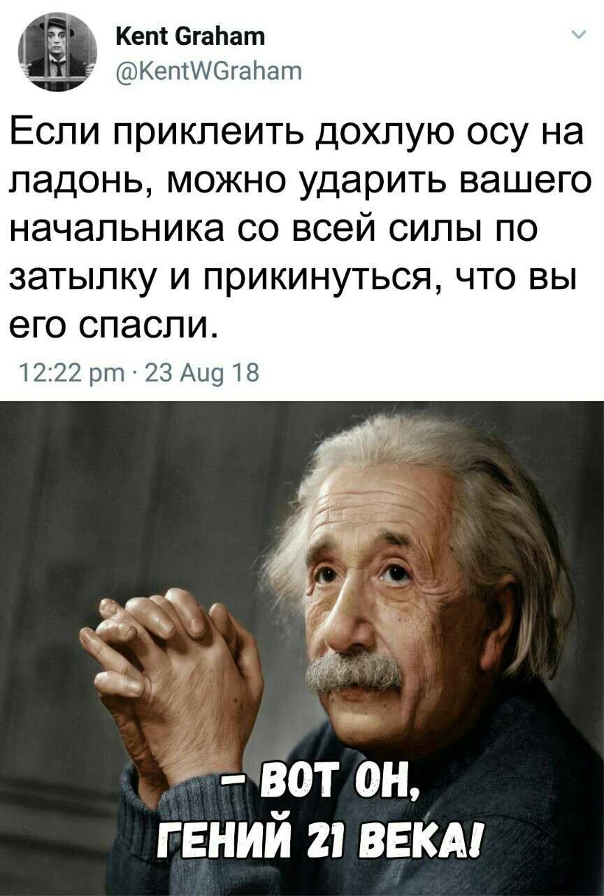 Если приклеить дохлую осу на ладонь, можно ударить вашего начальника со всей силы по затылку и прикинуться, что вы его спасли.
12:22 pm 23 Aug 18
– ВОТ ОН, ГЕНИЙ 21 ВЕКА!