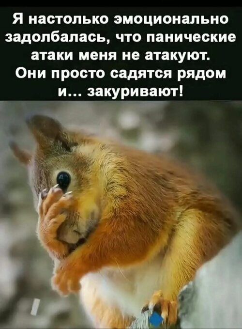 Я настолько эмоционально задолбалась, что панические атаки меня не атакуют. Они просто садятся рядом и... закуривают!