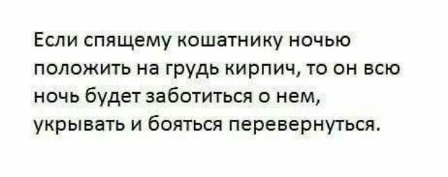 Если спящему кошатнику ночью положить на грудь кирпич, то он всю ночь будет заботиться о нем, укрывать и боясь перевернуться.