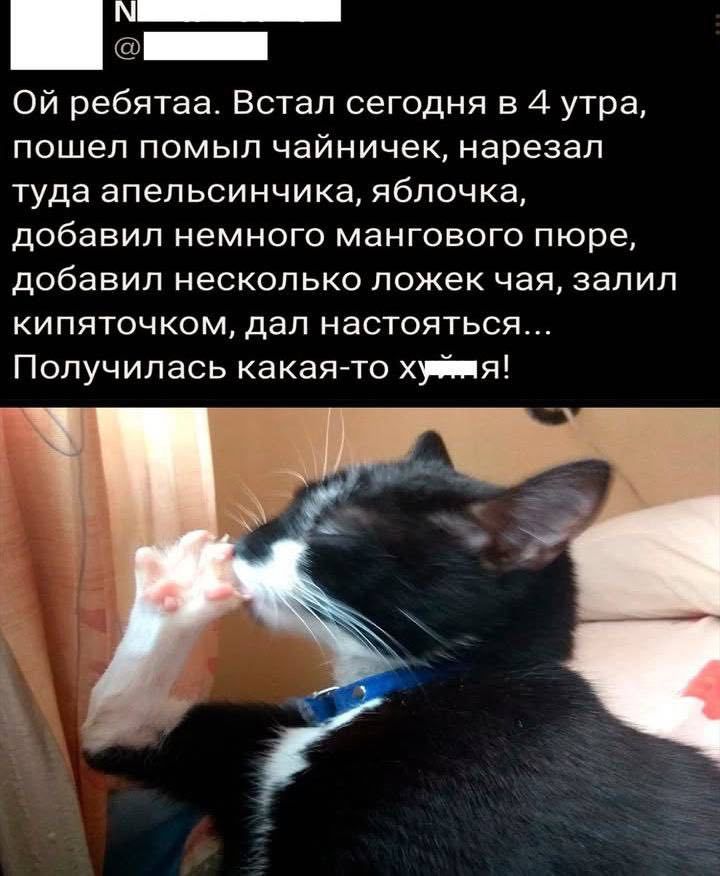 Ой ребятаа. Встал сегодня в 4 утра, пошел помыл чайничек, нарезал туда апельсинчика, яблочка, добавил немного мангового пюре, добавил несколько ложек чая, залил кипятком, дал настояться... Получилась какая-то х....я!