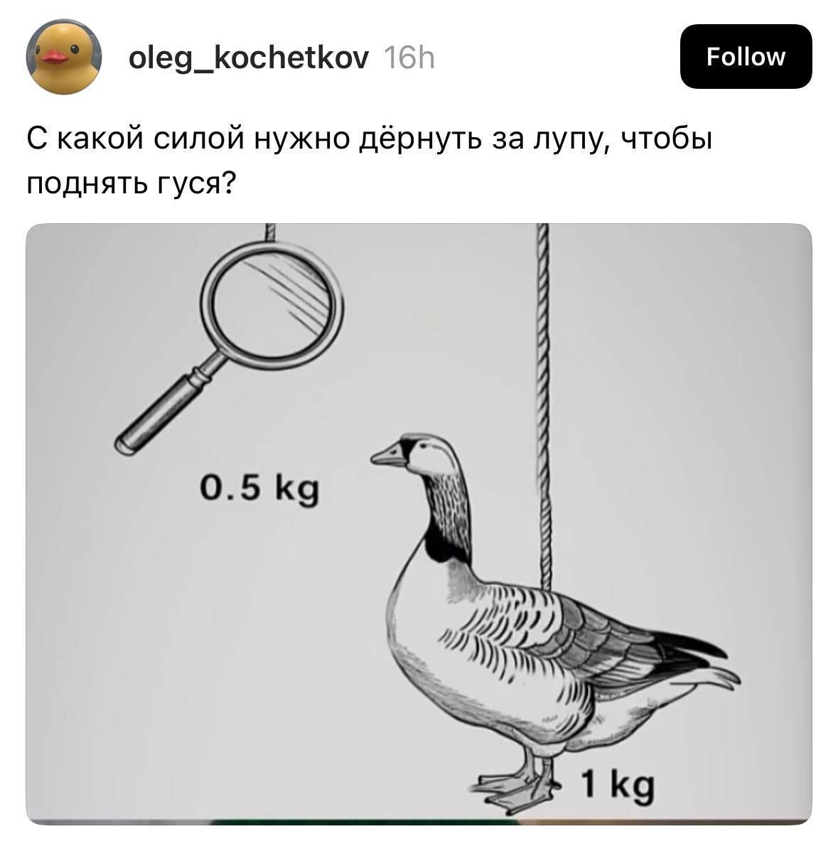 С какой силой нужно дёрнуть за лупу, чтобы поднять гуся?