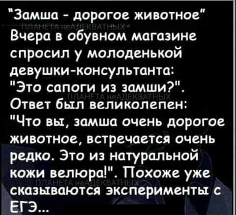 Замша - дорогое животное