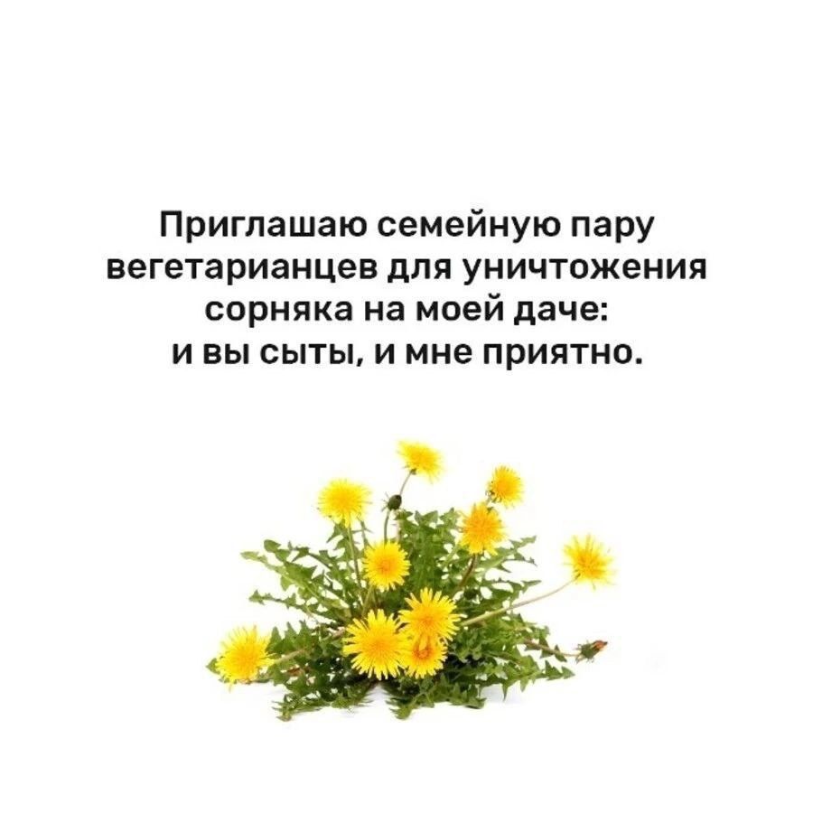 Приглашаю семейную пару вегетарианцев для уничтожения сорняка на моей даче: и вы сыты, и мне приятно.
