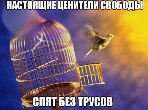 НАСТОЯЩИЕ ЦЕНИТЕЛИ СВОБОДЫ СПЯТ БЕЗ ТРУСОВ