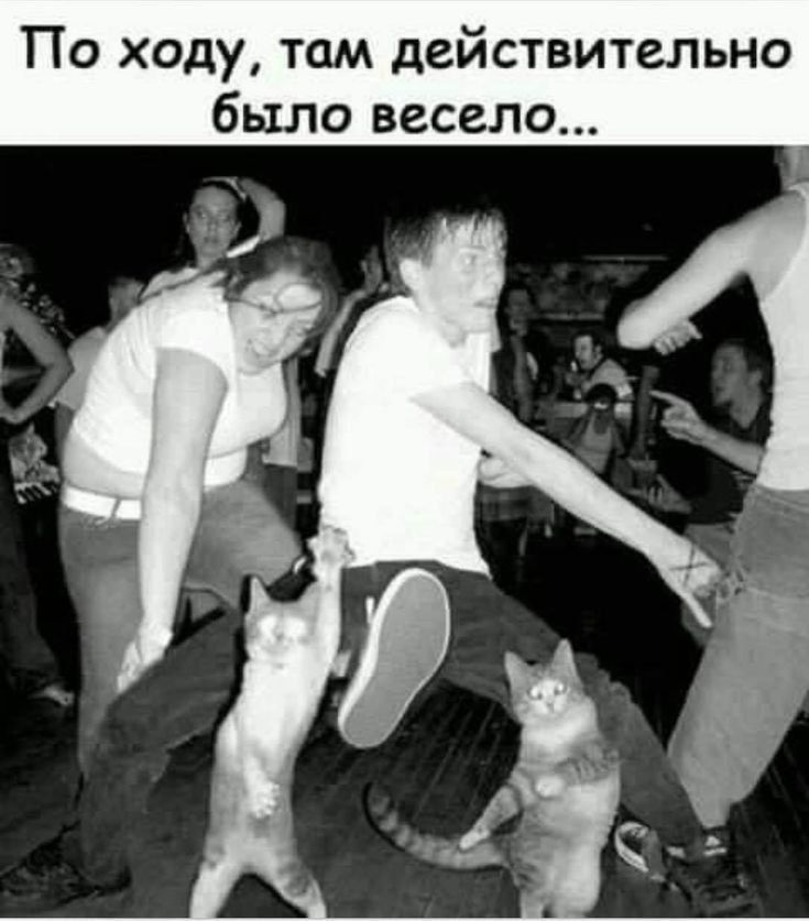 По ходу, там действительно было весело...
