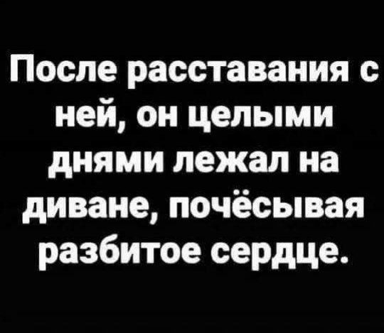 После расставания с ней, он целыми днями лежал на диване, почесывая разбитое сердце.