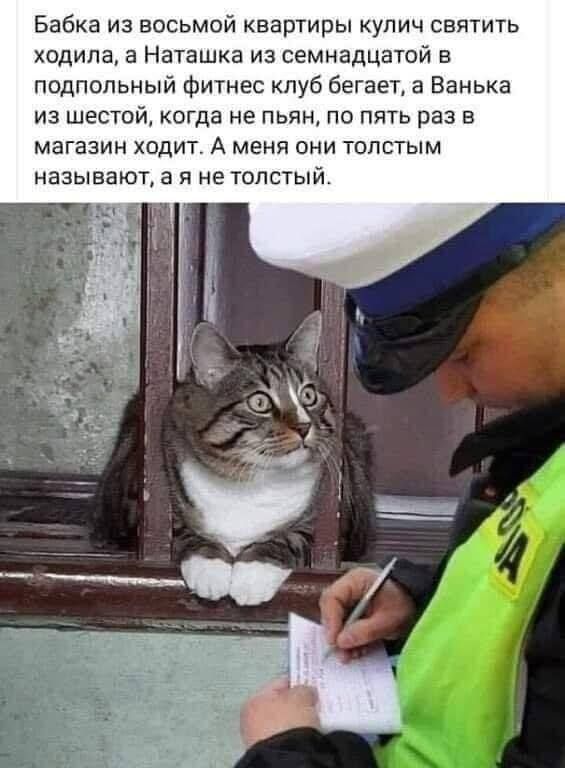 Бабка из восьмой квартиры кулич святить ходила, а Наташка из семнадцати в подпольный фитнес клуб бегает, а Ванька из шестой, когда не пьян, по пять раз в магазин ходит. А меня они толстым называют, а я не толстый.