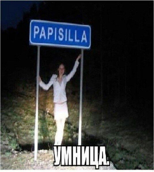 PAPISILLA. УМНИЦА.