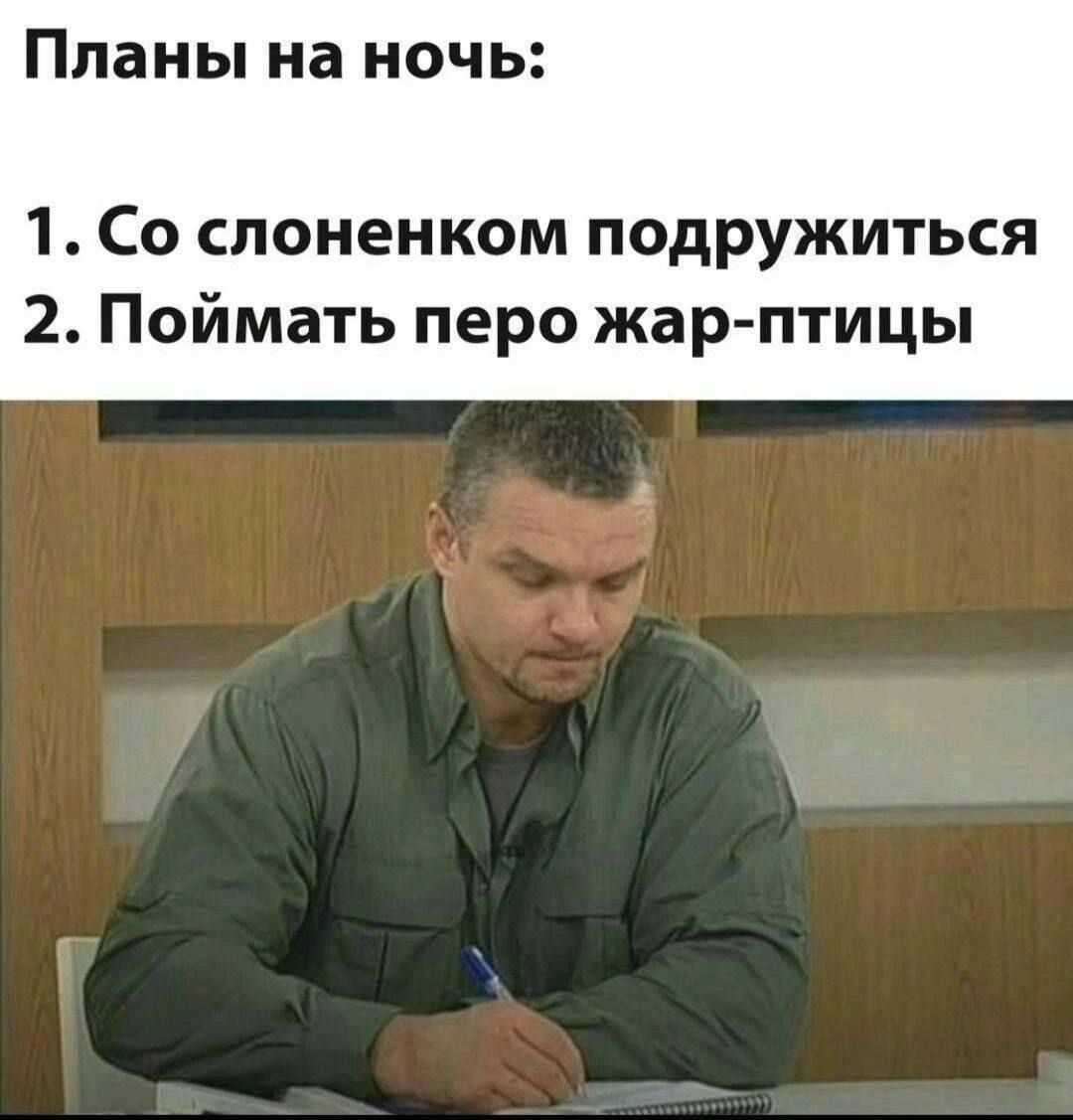 Планы на ночь:
1. Со слоненком подружиться
2. Поймать перо жар-птицы