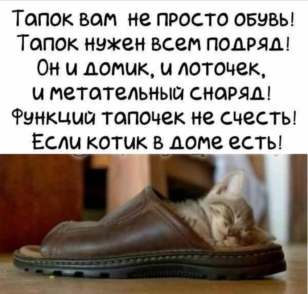 Тапок вам не просто обувь!
Тапок нужен всем подряд!
Он и домик, и лоточек,
и металлический снаряд!
Функций тапочек не счесть!
Если котик в доме есть!