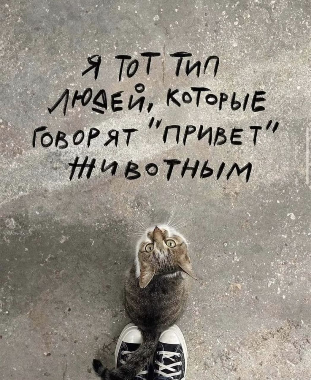 Я тот тип людей, которые говорят 