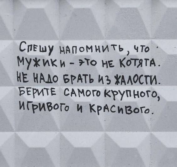 Спешу напомнить, что. Мужики – это не котята. Не надо брать из жалости. Берите самого крупного, игривого и красивого.