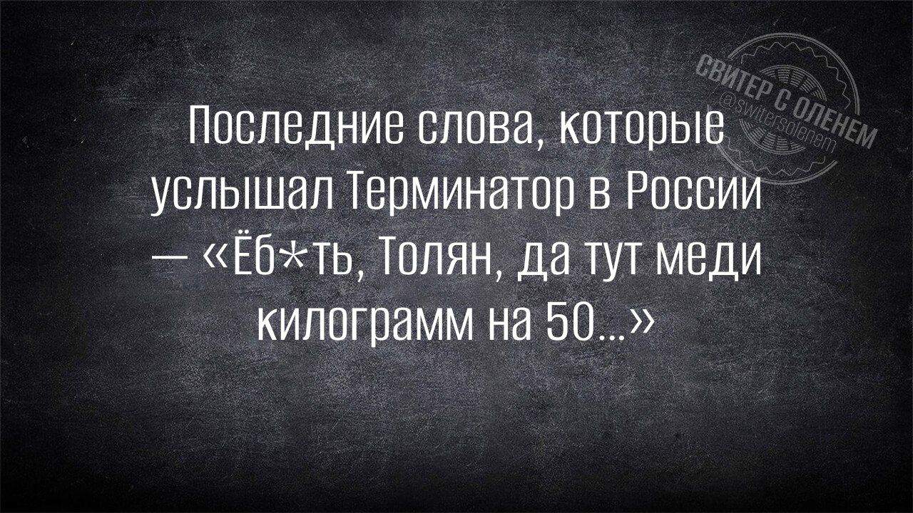 Последние слова, которые услышал Терминатор в России — «Ёб*ть, Толя, да тут меди килограмм на 50...»