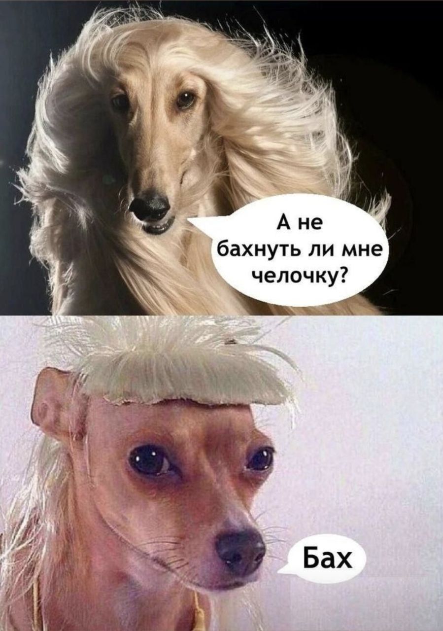 А не бахнуть ли мне челочку? Бах