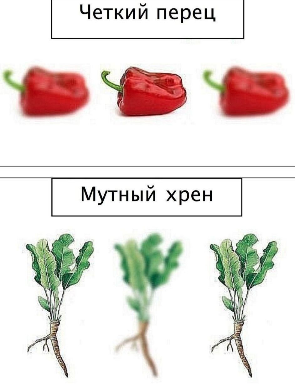 Четкий перец
Мутный хрен