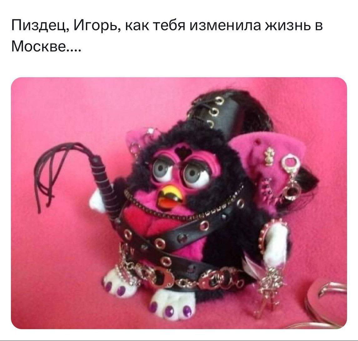 Пиздец, Игорь, как тебя изменила жизнь в Москве....
