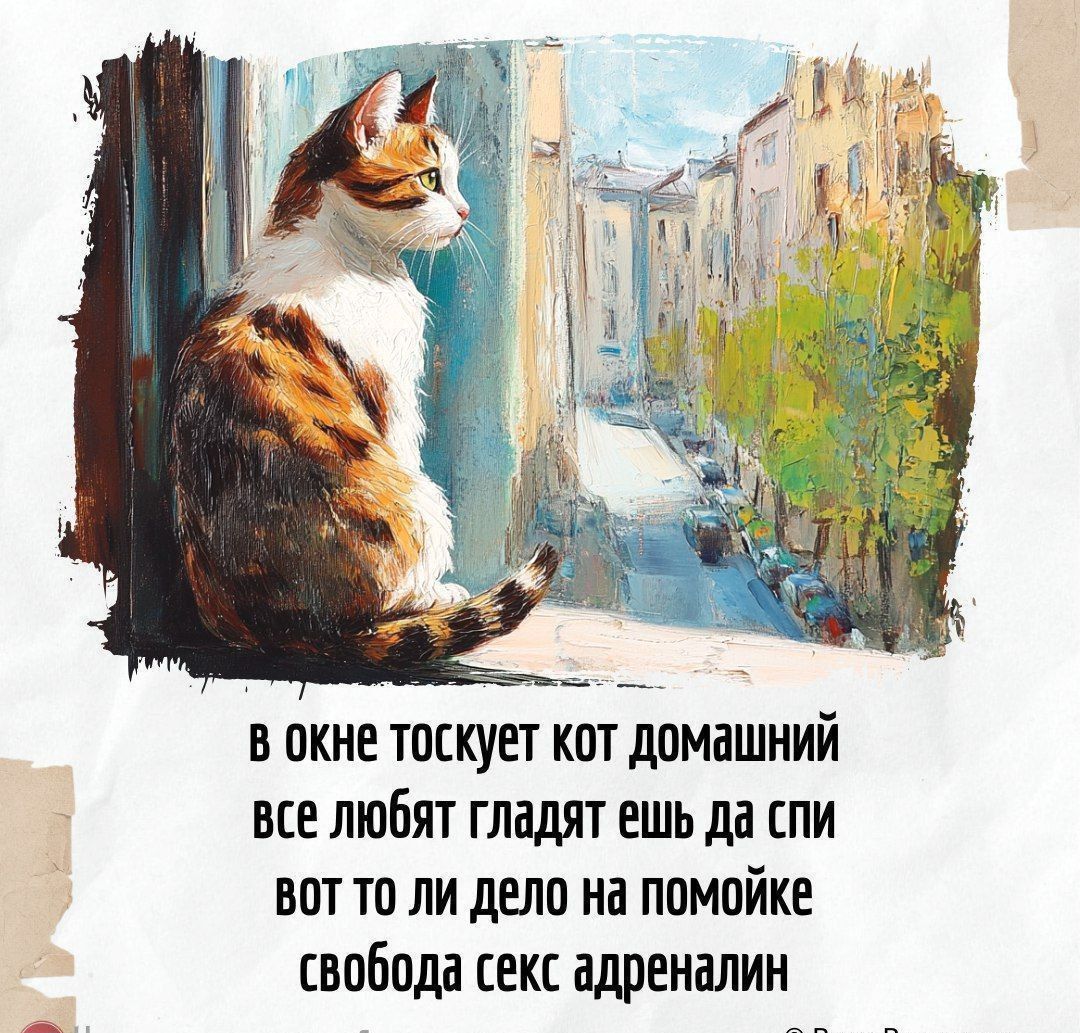 в окне тоскует кот домашний все любят гласят ешь да спи вот то ли дело на помойке свобода секс адреналин