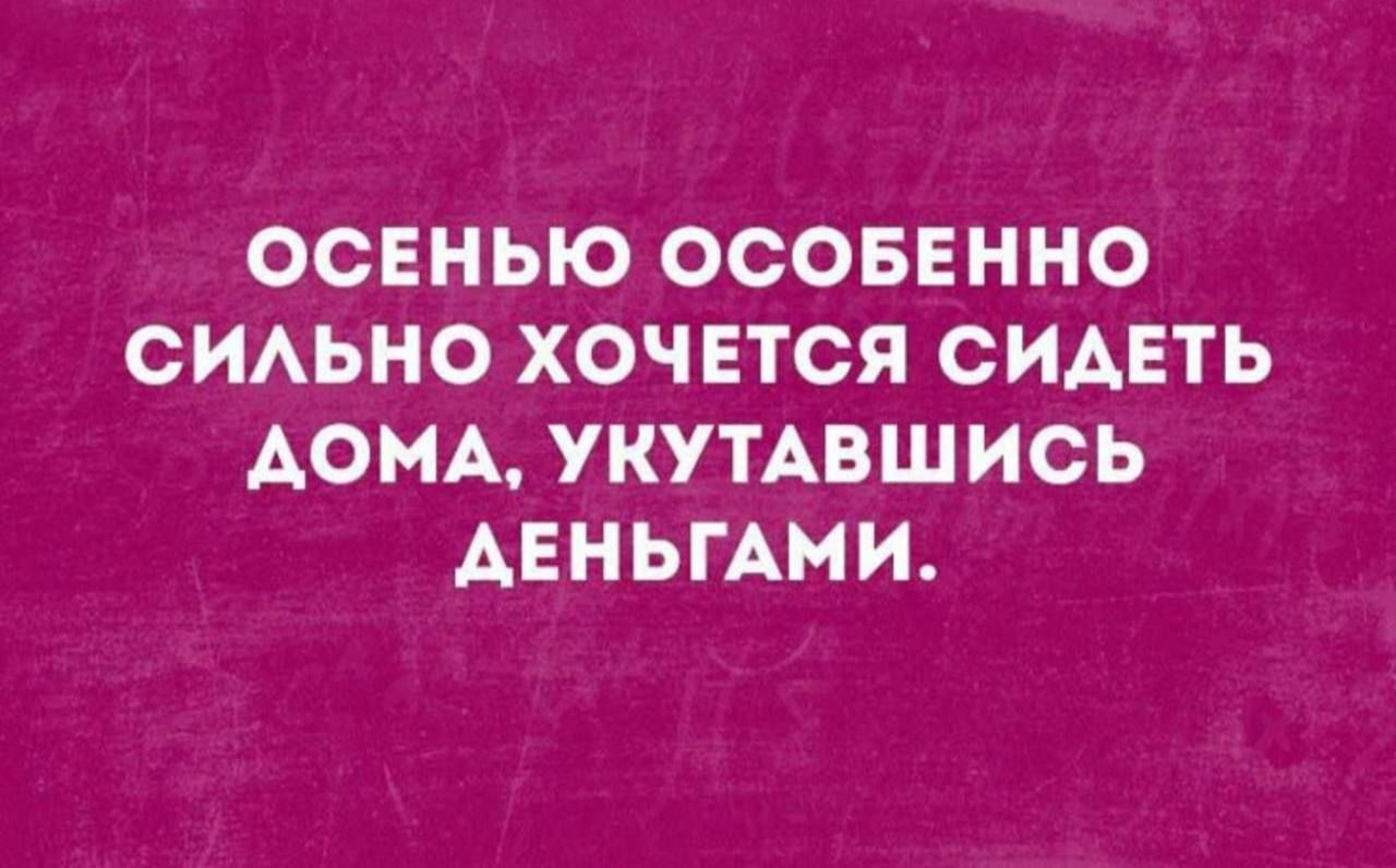 ОСЕНЬЮ ОСОБЕННО СИЛЬНО ХОЧЕТСЯ СИДЕТЬ ДОМА, УКУТАВШИСЬ ДЕНЬГАМИ.