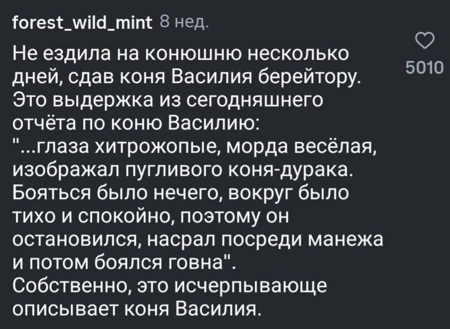 Не ездила на конюшню несколько дней, сдав коня Василия берейтору. Это выдержка из сегодняшнего отчёта по коню Василию: 