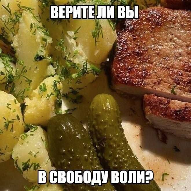 ВЕРИТЕ ЛИ ВЫ В СВОБОДУ ВОЛИ?