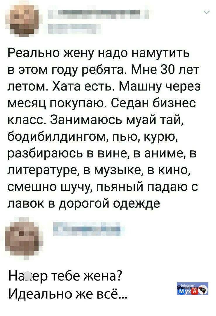 Реально жену надо намутить в этом году ребята. Мне 30 лет летом. Хата есть. Машину через месяц покупаю. Седан бизнес класс. Занимаюсь муай тай, бодибилдингом, пью, курю, разбираюсь в вине, в аниме, в литературе, в музыке, в кино, смешно шучу, пьяный падаю с лавок в дорогой одежде. Накапливаю на жену? Идеально же всё...