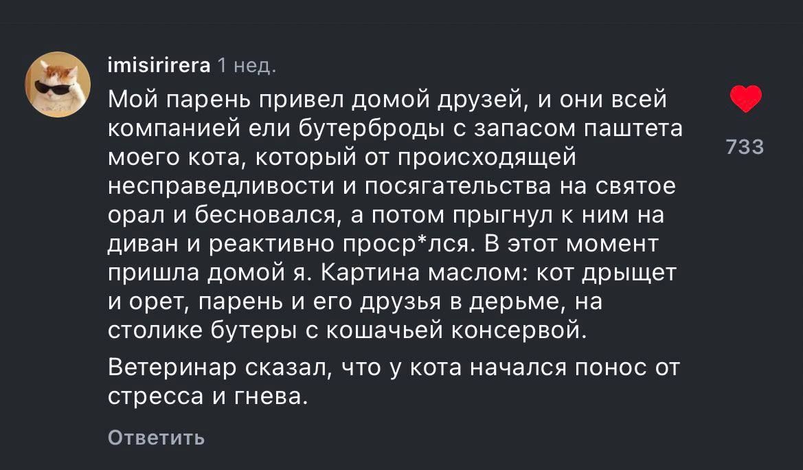 Мой парень привел домой друзей, и они всей компанией ели бутерброды с запасом паштета моего кота, который от происходящей несправедливости и посигательства на святое орал и бесновался, а потом прыгнул к ним на диван и реактивно прос*пл. В этот момент пришла домой я. Картина маслом: кот дрыгает и орет, парень и его друзья в дерме, на диване бутербы с кошачьим консерво.

Ветеринар сказал, что у кота началась рвота от стресса и гнева.