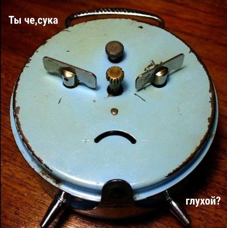 Ты че,сучка
глухой?
