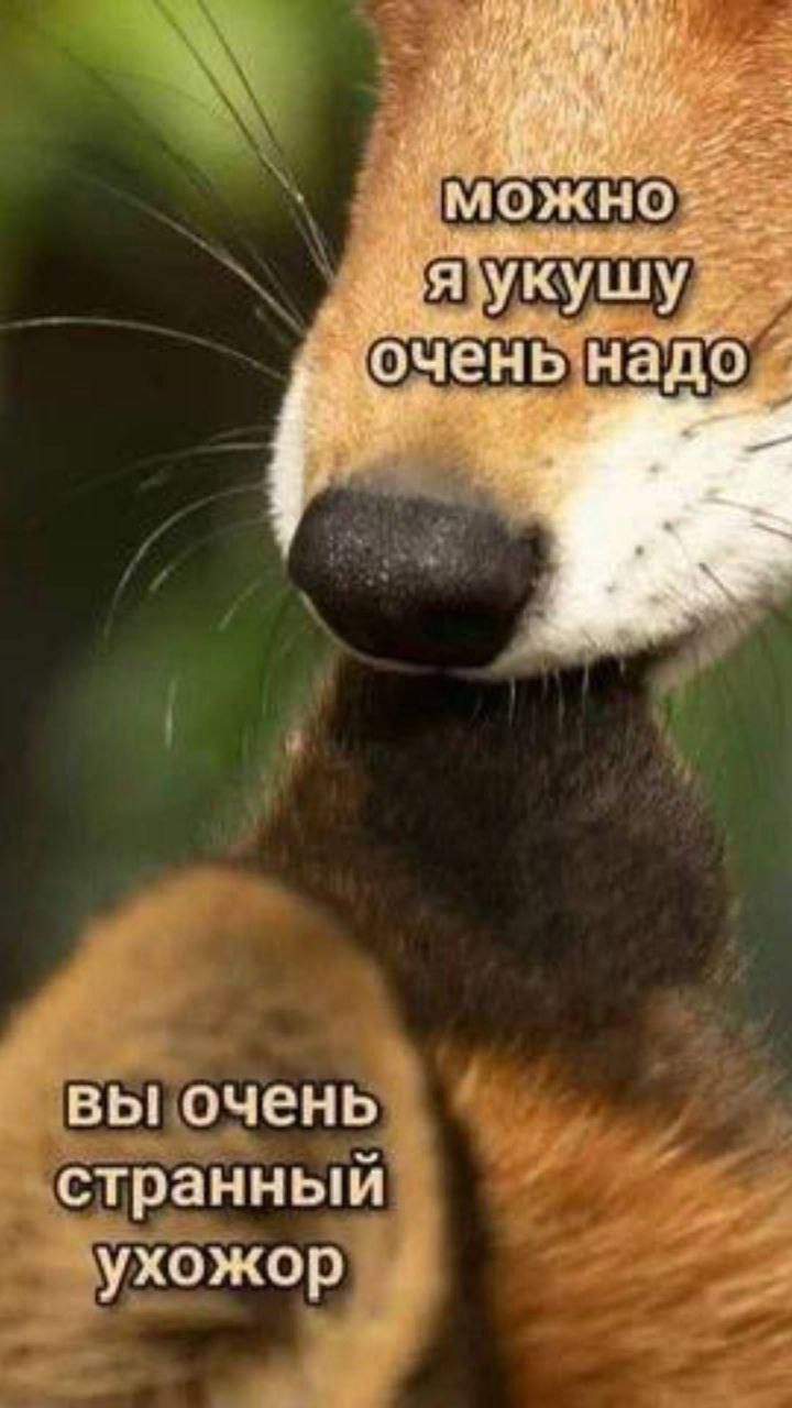 можно я укушу очень надо вы очень странный ухожор