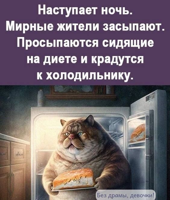 Наступает ночь. Мирные жители засыпают. Просыпаются сидящие на диете и крадутся к холодильнику.
