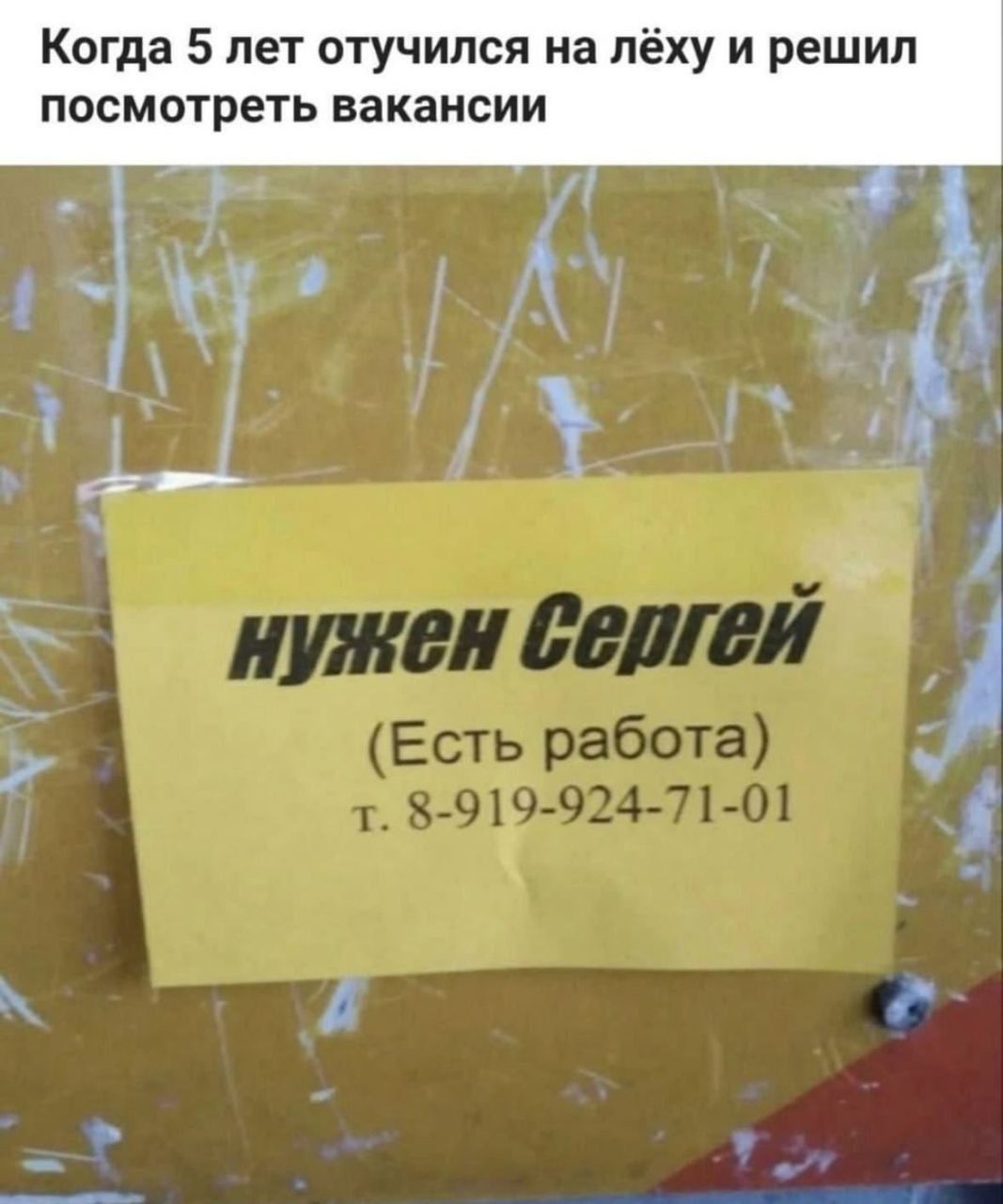 Когда 5 лет отучился на лёху и решил посмотреть вакансии
нужен Сергей
(Есть работа)
т. 8-919-924-71-01