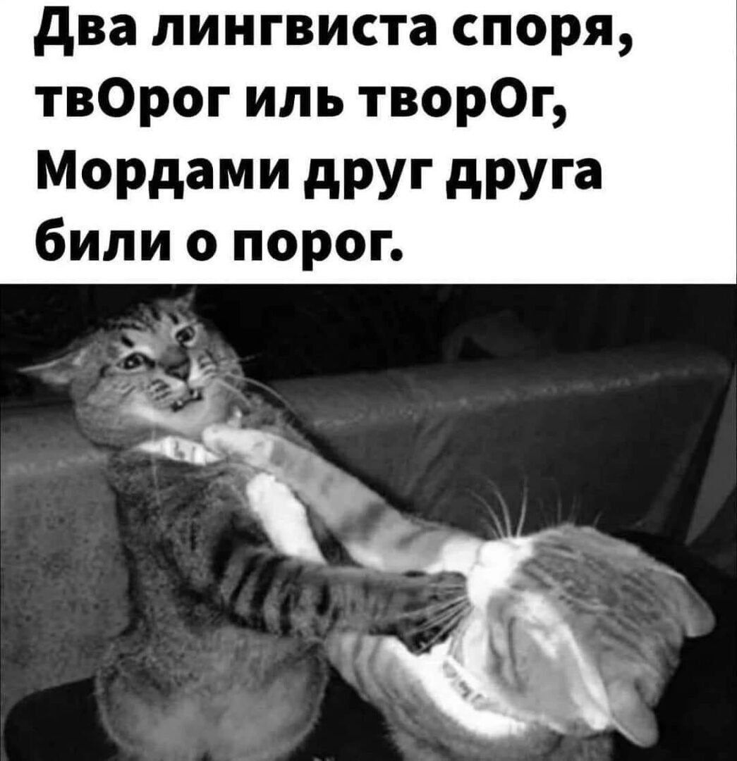 Два лингвиста спора, твОrog или твОрOg, Мордами друг друга били о порог.
