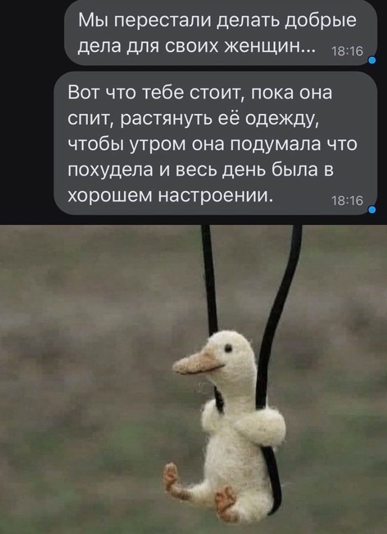 Мы перестали делать добрые дела для своих женщин...
Вот что тебе стоит, пока она спит, растянуть её одежду, чтобы утром она подумала что похудела и весь день была в хорошем настроении.