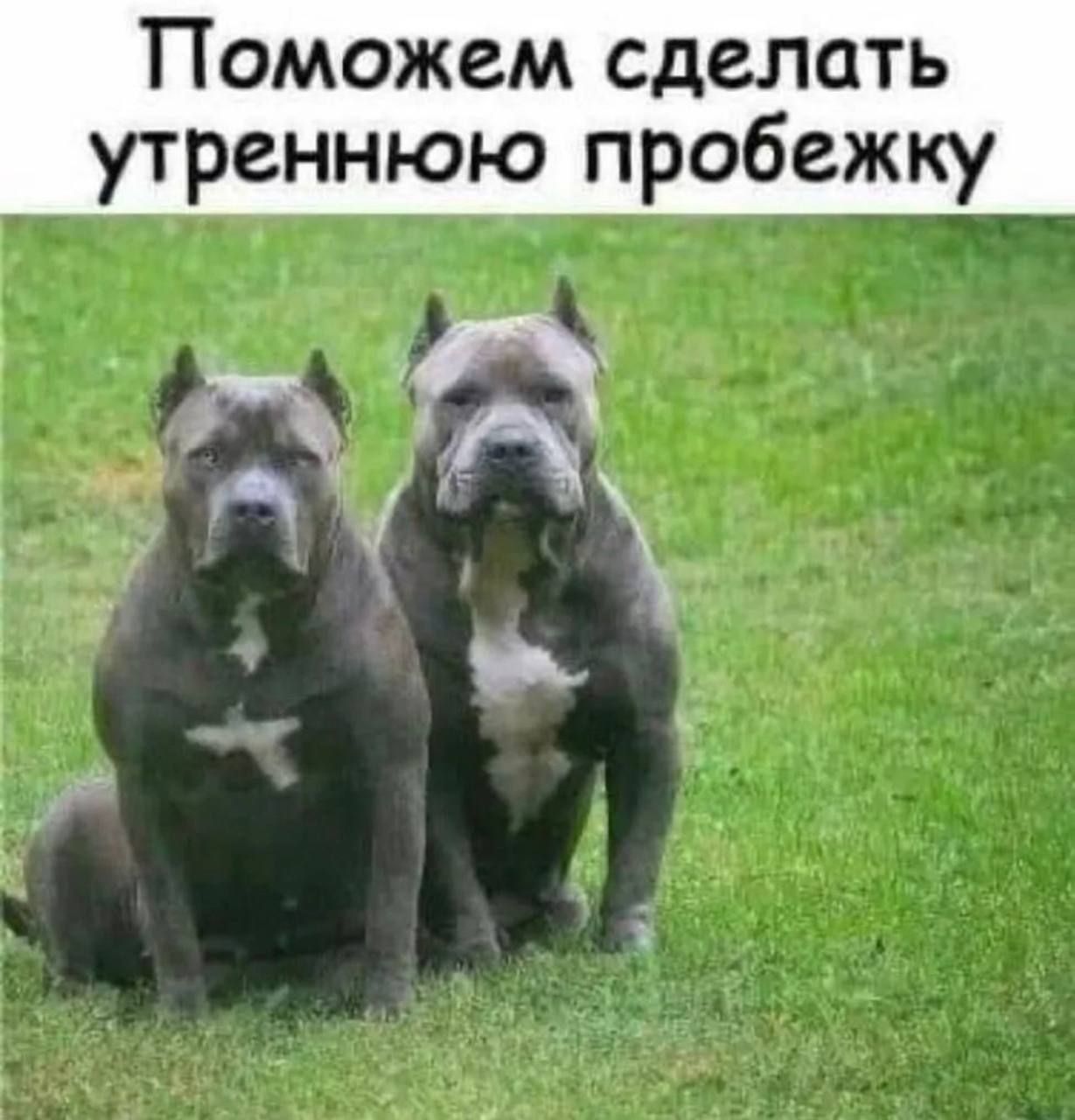 Поможем сделать утреннюю пробежку