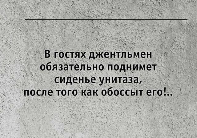 В гостях джентльмен обязательно поднимет сиденье унитаза, после того как обоссит его!..