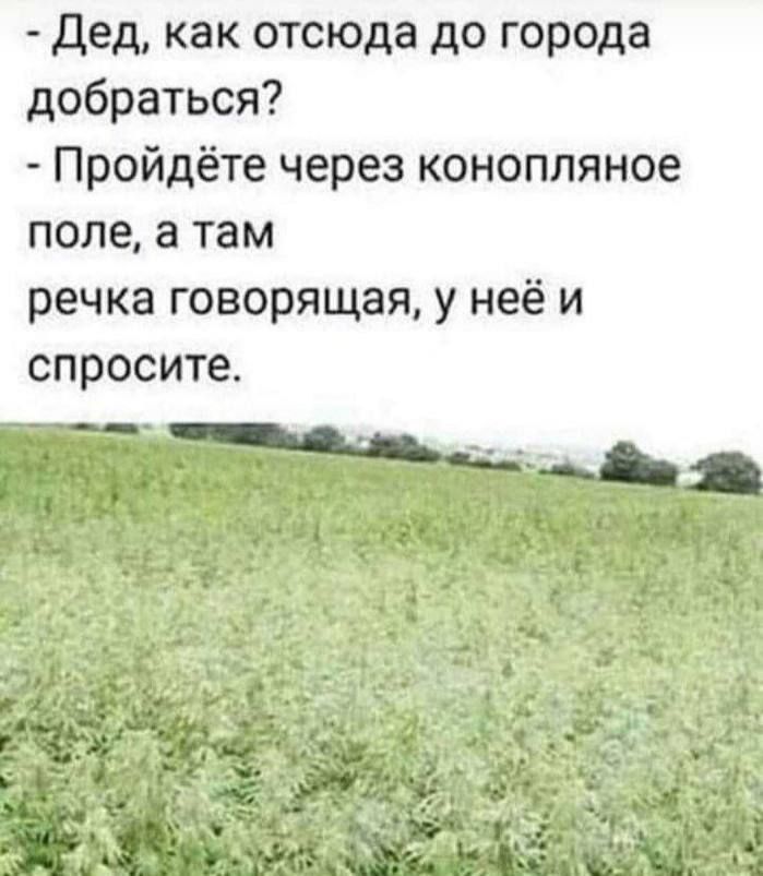 Дед, как отсюда до города добраться? - Пройдите через конопляное поле, а там речка говорящая, у неё и спросите.