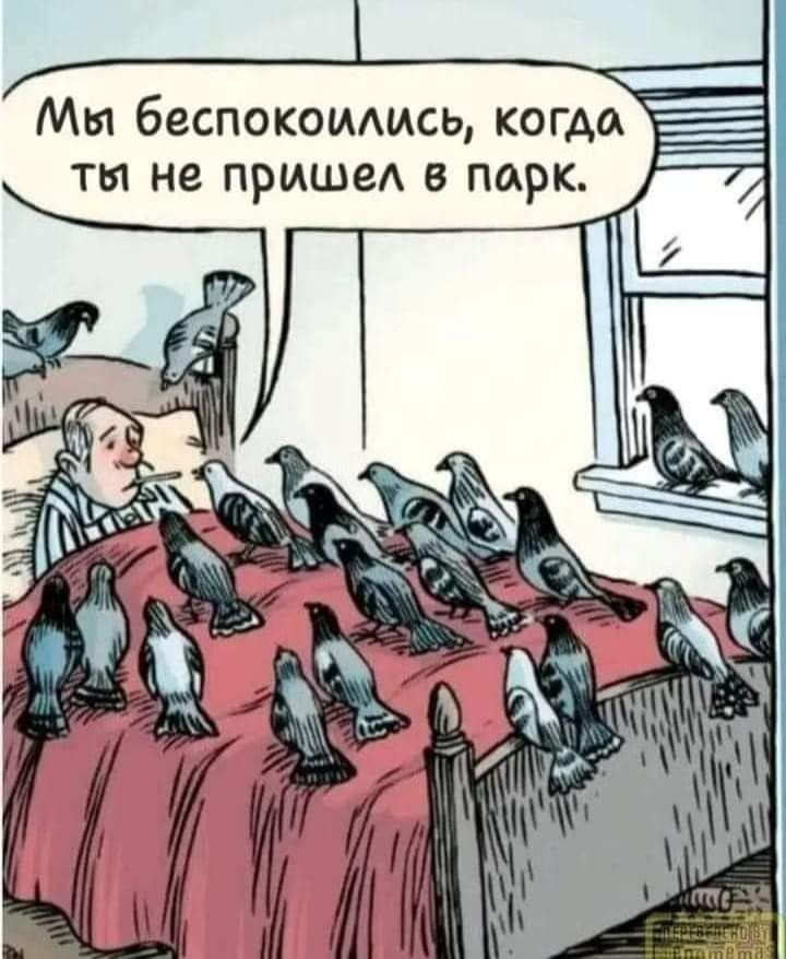 Мы беспокоились, когда ты не пришел в парк.