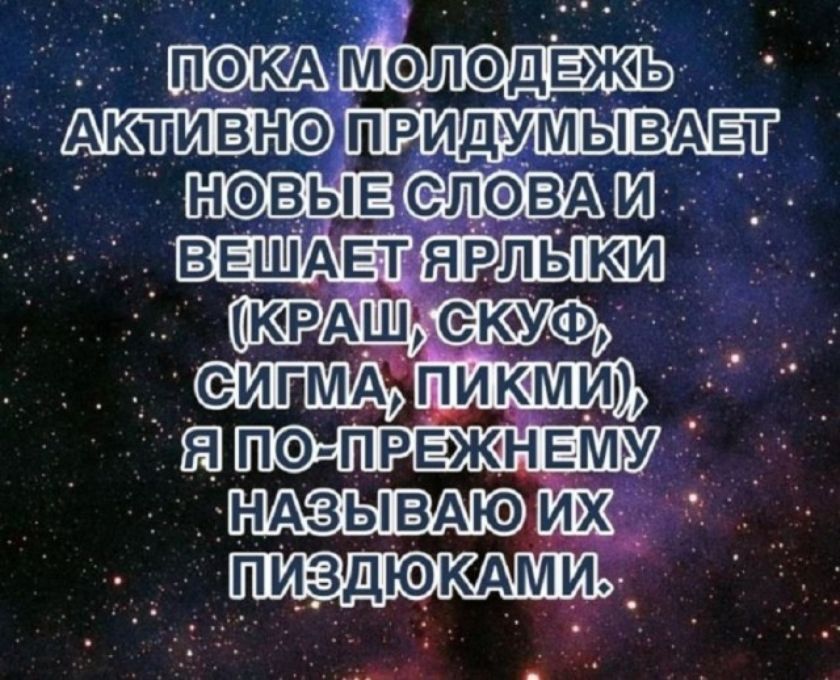 ПОКА МОЛОДЁЖЬ АКТИВНО ПРИДУМЫВАЕТ НОВЫЕ СЛОВА И ВЕШАЕТ ЯРЛЫКИ (КРАШ, СКУФ, СИГМА, ПИКМИ), Я ПО-ПРЕЖНЕМУ НАЗЫВАЮ ИХ ПИЗДЮКАМИ.