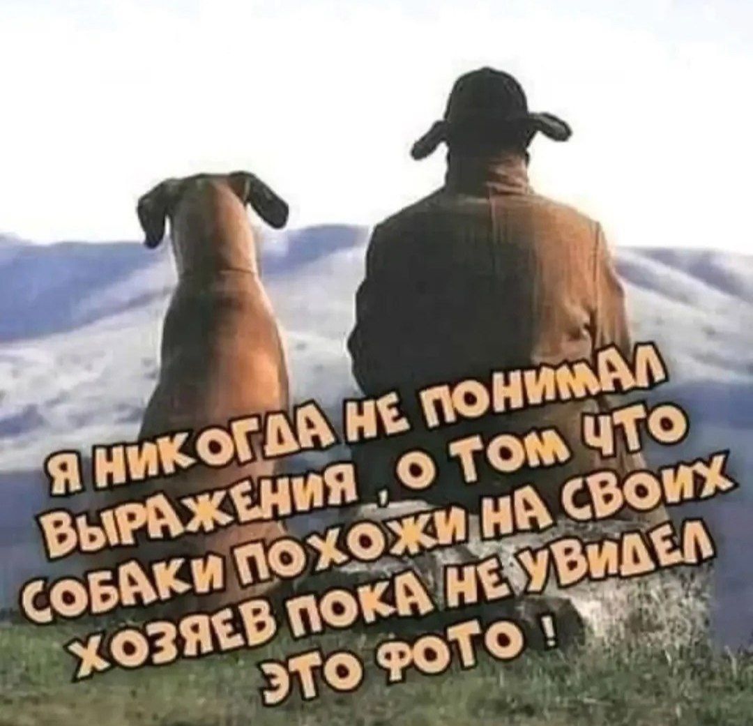 Я никогда не понимал выражения, о том что собаки похожи на своих хозяев, пока не увидел это фото!